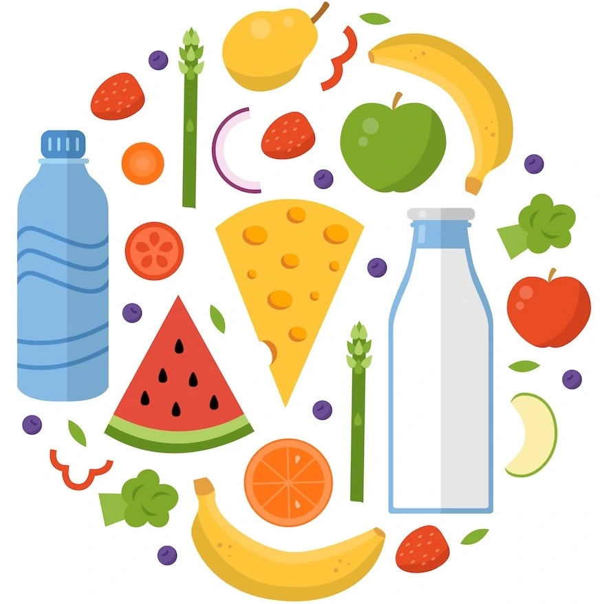 Healthy Food Dish Vector Mobile 2